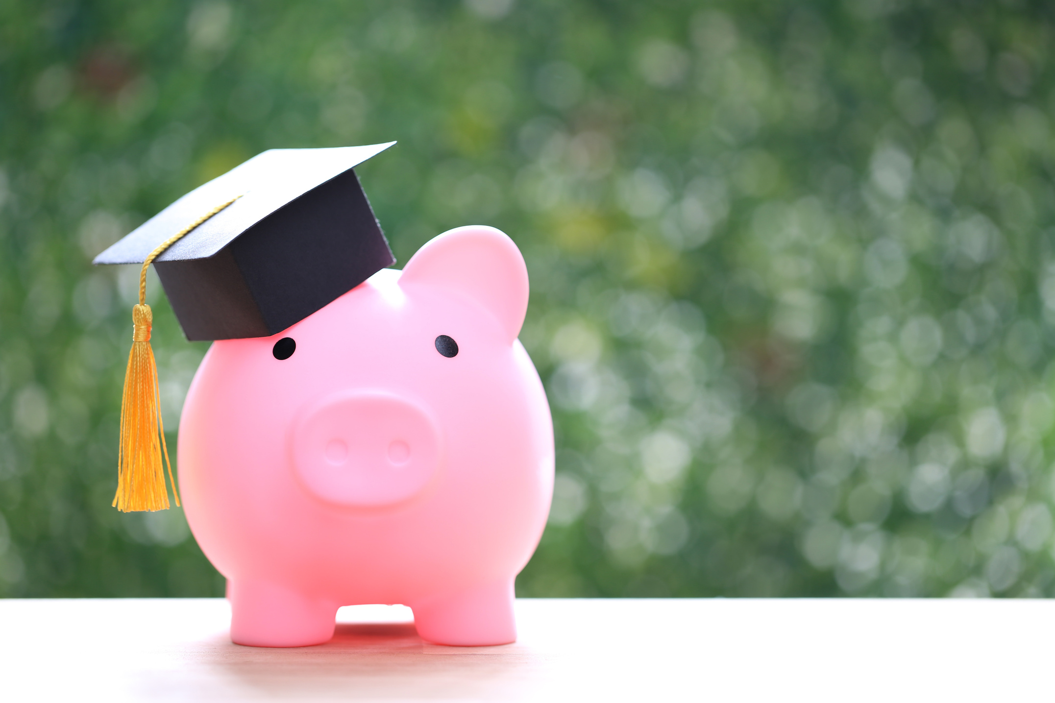 Educational Savings Concept